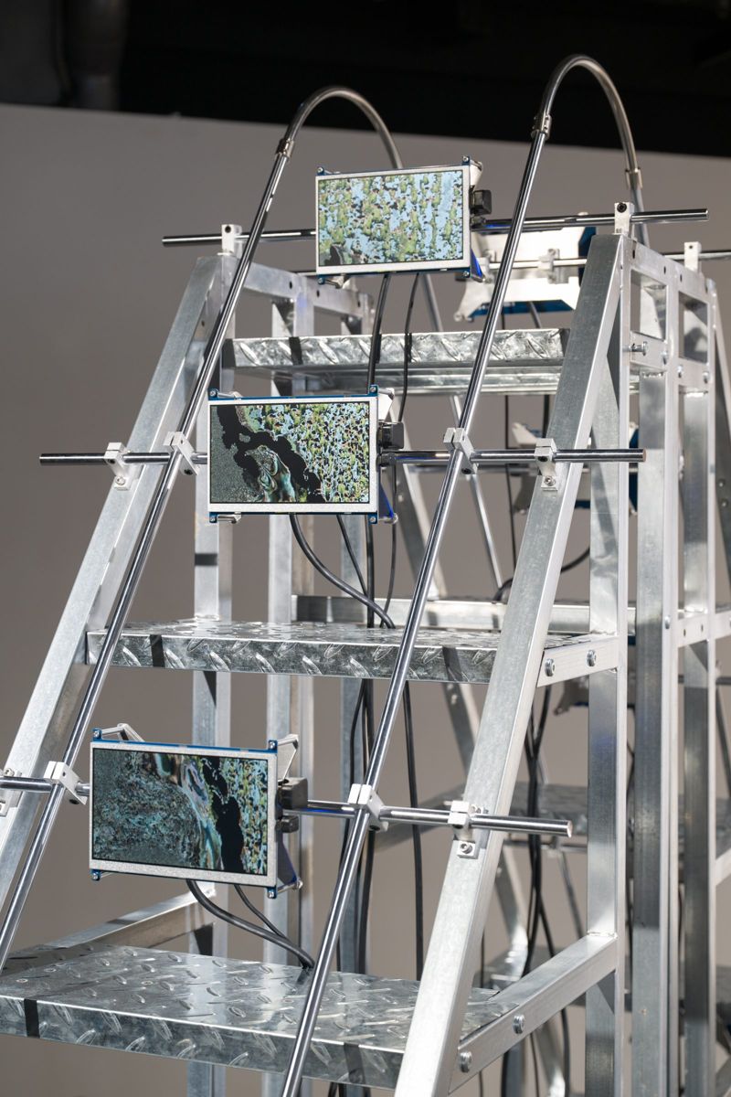 The aluminium staircase seen close up, small screens showing moss-like growth clamped to its rails.